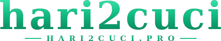 hari2cuci logo